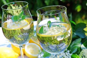 teeth health smile dental